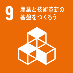 9.産業と技術革新の基盤を